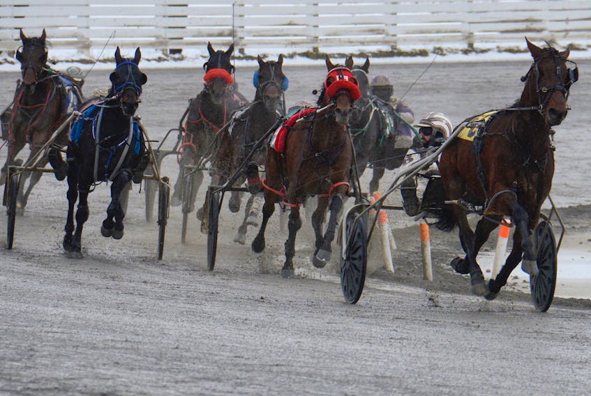 Mark Bradley, right, checks on the competition as he drives Hunger Pangs to the finish line first in Race 10 at Red Shores at the Charlottetown Driving Park.