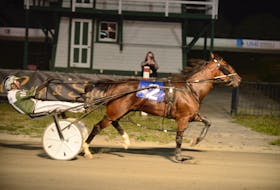 Time To Dance, with Marc Campbell in the bike, wins The Guardian Gold Cup and Saucer Trial 1 Saturday at Red Shores at the Charlottetown Driving Park.