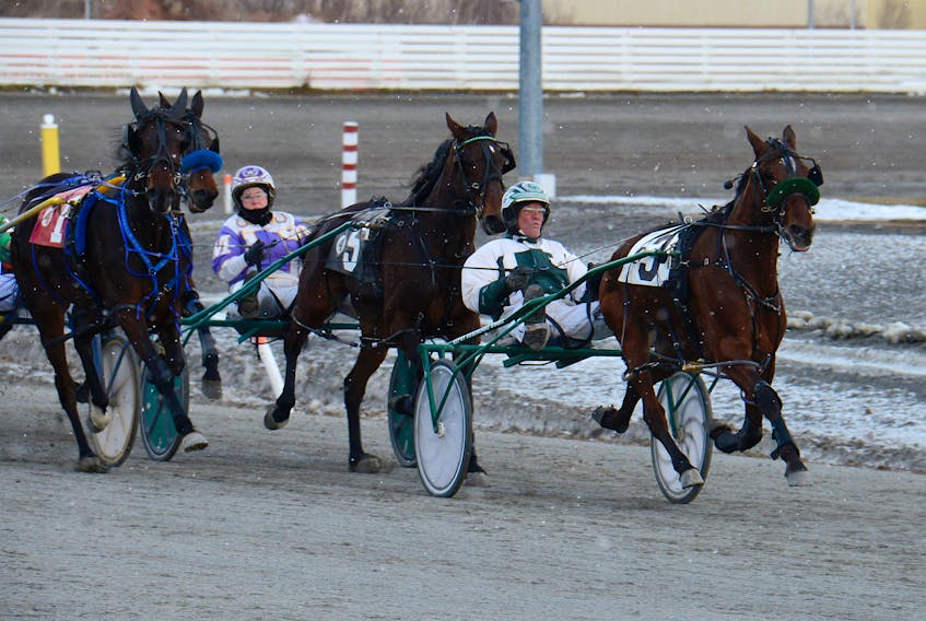 Private Di, with Kenny Arsenault in the sulky, leads the field in Race 4 Saturday at Red Shores at the Charlottetown Driving Park.