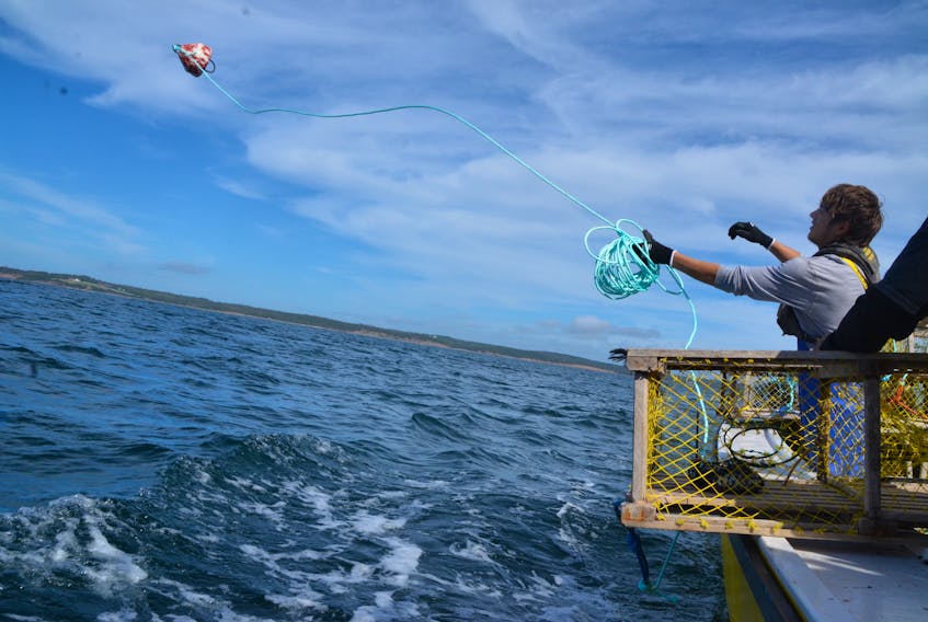 Avery Basque of the Potlotek First Nation sets a trap in St.Peter's Bay as part of the community's moderate livelihood fishery.(AARON BESWICK PHOTO)
's