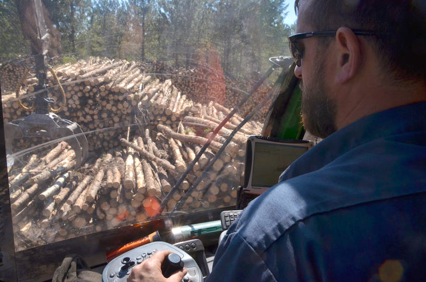Jack pine logs are moved to roadside for pickup in Cumberland County, Nova Scotia.