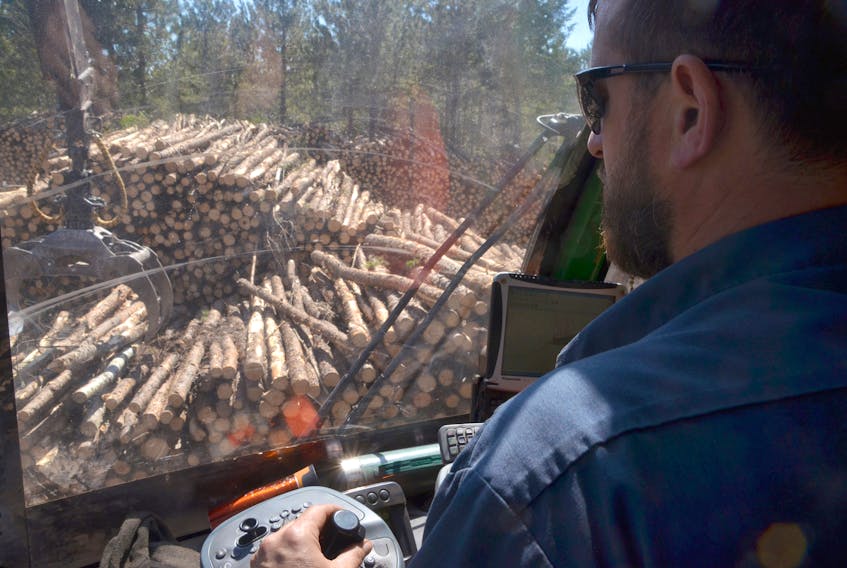 Jack pine logs are moved to roadside for pickup in Cumberland County, Nova Scotia.