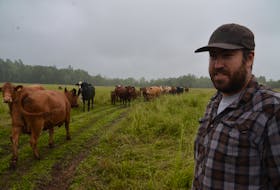 Derek Gladney, owner of West River Farms, with his herd in Sylvester,Pictou County. (AARON BESWICK PHOTO)