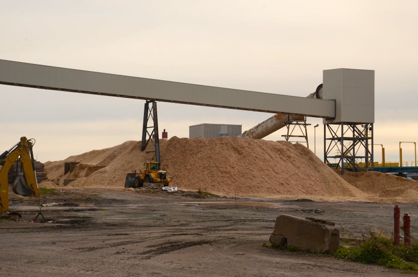 Wood chips are piled up ready to burn at Nova Scotia Power's biomass power generation plant in Point Tupper, Richmond County.