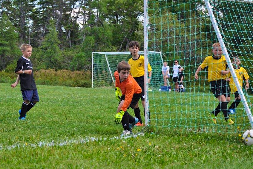 The Queens County Soccer Association is heading into another summer of programming. More than 10 willing parents came to a recently held meeting, volunteering ensuring the continued the success of the organization.
