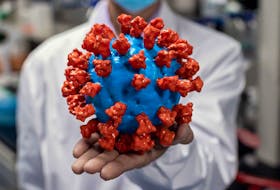 Four B.C. groups are working on treatments for COVID-19. Shown here is a model of the coronavirus that causes COVID-19.