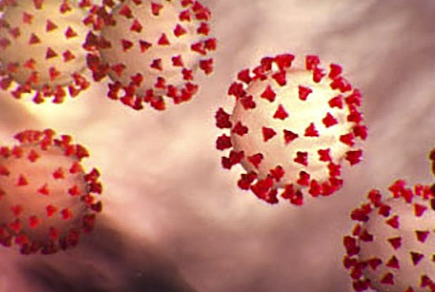 This handout file illustration image obtained Feb. 27, 2020 courtesy of the Centers for Disease Control and Prevention and created at the Centers for Disease Control and Prevention (CDC) shows the coronavirus, COVID-19.