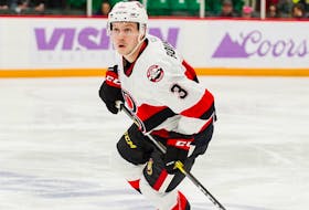 Defenceman Trent Bourque, the newest member of the Newfoundland Growlers, had 20 points and a plus-16 rating in 42 games for the ECHL’s Brampton Beast, but also has appeared in a few AHL games with the Belleville Senators during his rookie pro season. — Photo via Toronto Marlies