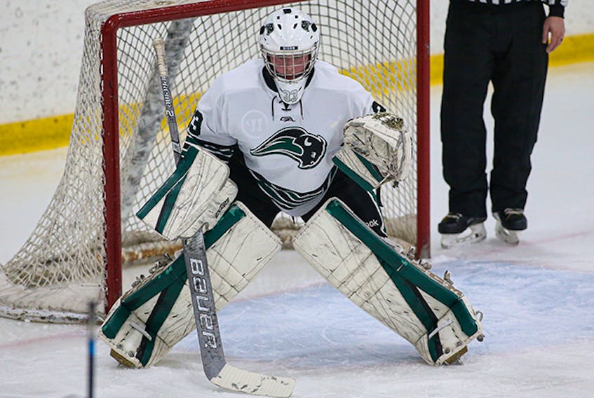 Julia Carroll of Albert Bridge is shown in the crease for Nichols College Bison in her freshman year during the 2019-20 campaign. The 19-year-old did return to Dudley, Mass., this year for school, however, the hockey season has been delayed until at least Feb. 1. PHOTO SUBMITTED