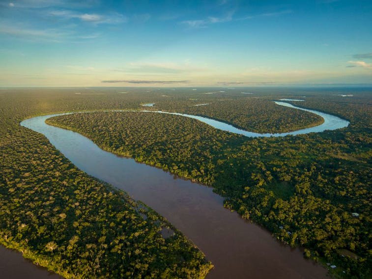 Some parts of the rainforest that were deforested for trade belong to indigenous communities, which are used for hunting, fishing, and fruit gathering.