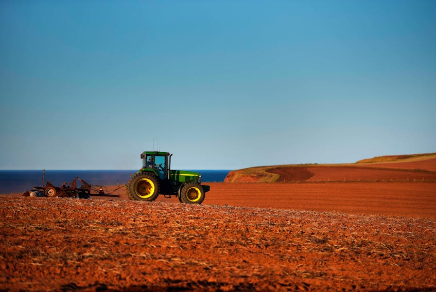 A farmer works a Prince Edward Island field in the spring of 2020. The proposal for a land bank would involve the province buying farmland for the purpose of keeping it in use for food cultivation. Nathan Rochford/The Guardian