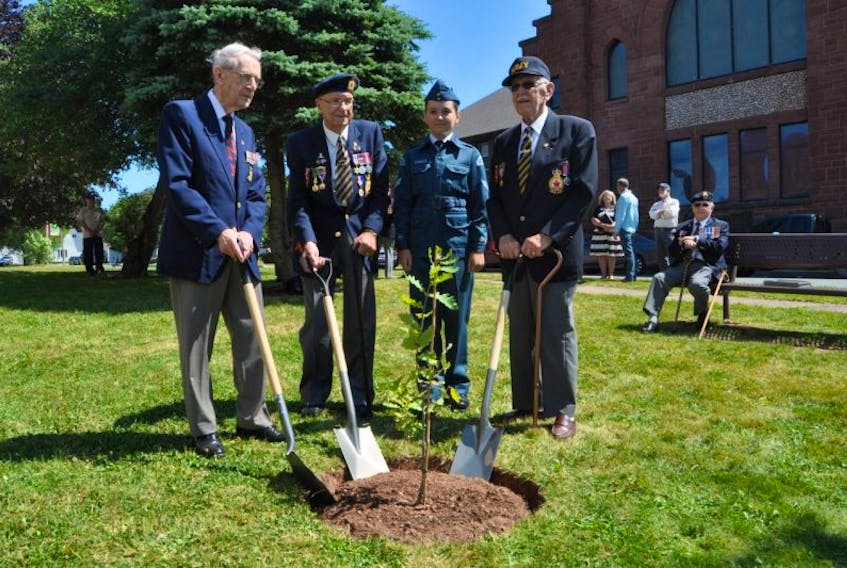 A tree planting ceremony of a “Vimy Oak” was held at Veteran’s Memorial Park in Amherst on Thursday, Aug. 10, with local veterans (from left) Russell Clarke, Art Holland and Art Smith manning the ceremonial shovels, with assistance from air cadet Cpl. Samuel Clarke.