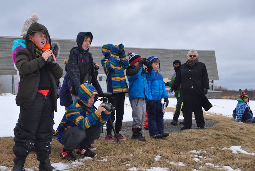 Birdwatching was the focus this morning, as Liza Barney of Bird Studies Canada visited the young people enrolled in the March Break camp at the Joggins Fossil Centre.