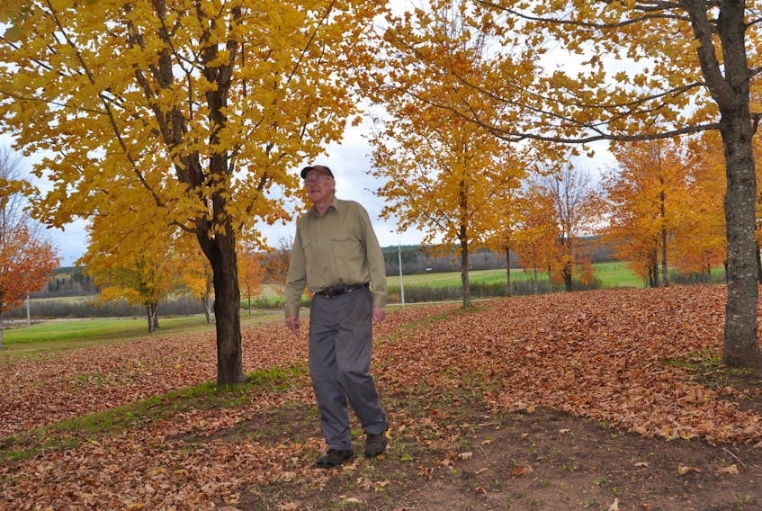 David Dickinson walks among the maple trees on his West Brook family farm. He was inducted into the Atlantic Agricultural Hall of Fame during a ceremony at the Dalhousie Agricultural Campus in Truro on Oct. 19.