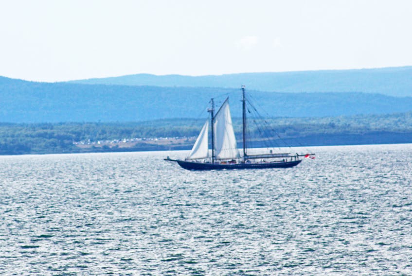 The Bluenose II sailing into Sydney Harbour taken from the shoreline near Victoria Mines. CONTRIBUTED
