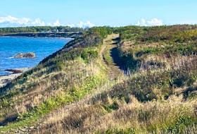 This scenic coastal trail stretches from the bottom of Daley Road to Low Point Lighthouse in New Victoria. CONTRIBUTED