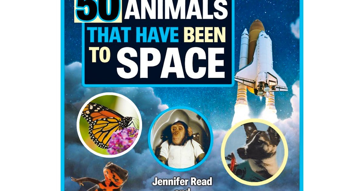Animals in Space: East Coast couple team up to write book for kids about  animals sent to space | SaltWire