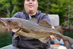 A Bras d’Or cod caught by Skyler Jeddore in August 2019. CONTRIBUTED