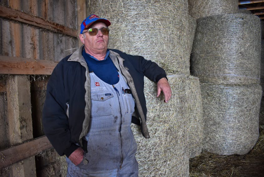 Annapolis Valley farmer Gordon Jackson leans on a stack of round bales in a large barn housing fewer bales than he’d typically like to see in storage around this time of year. He’s noticed that hay is harder to come by after a spike in demand followed some challenging growing seasons. – Ashley Thompson