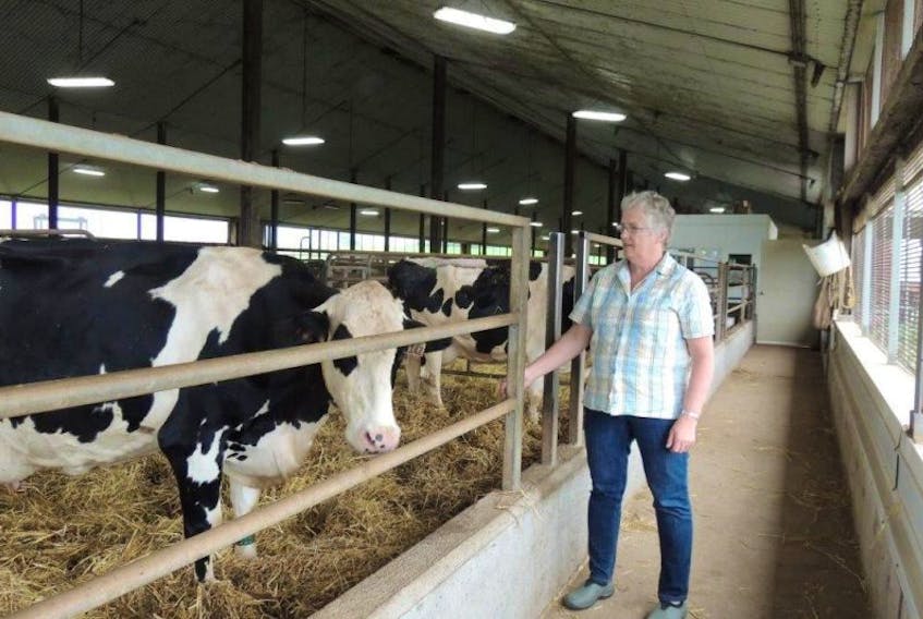 Arlene MacGregor of Churchville jokes that her husband must have seen “farming potential” in her when they married. In addition to filling in where needed on the dairy farm from milking to silage-making, she contributes Pictou County stories to CBC Radio’s Information Morning. (Rosalie MacEachern photo)