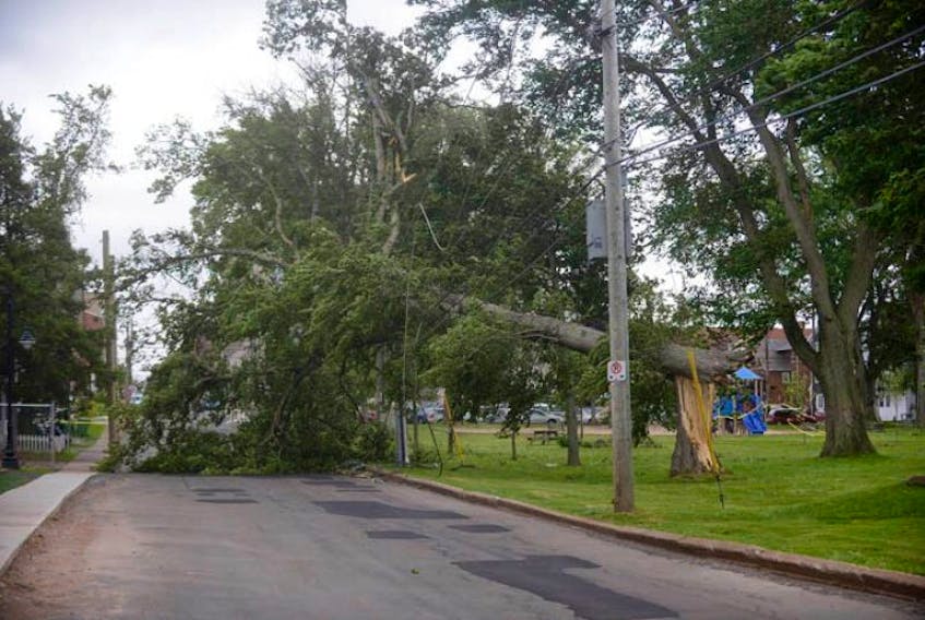 Not all the damage was at the Charlottetown Yacht Club. This large tree on Richmond Street came down across power lines knocking out power to some homes in the area