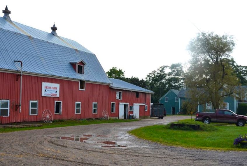 Robert Noble's Farm in Wilmot was the focus of a search last night, Sept. 10. Police had encountered a man with a large knife but he fled when police stopped to talk with him.