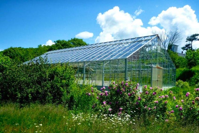 A Bear River Board of Trade project wants to turn this old greenhouse / sewer treatment plant into a three-season community garden. Annapolis County has agreed to seel them the propery below market value.