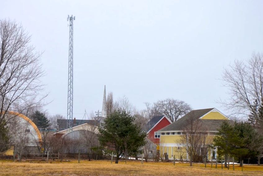 This 90-foot tower behind the village office in Lawrencetown is one of two erected to offer highspeed Internet via WiFi signal in the village and surrounding area. At least two more towers will be erected and a fifth is possible for nearby Paradise where interest in the project is high. A meeting to update citizens and potential subscribers to the co-operative is set for March 27 at 7 p.m. at the Library.