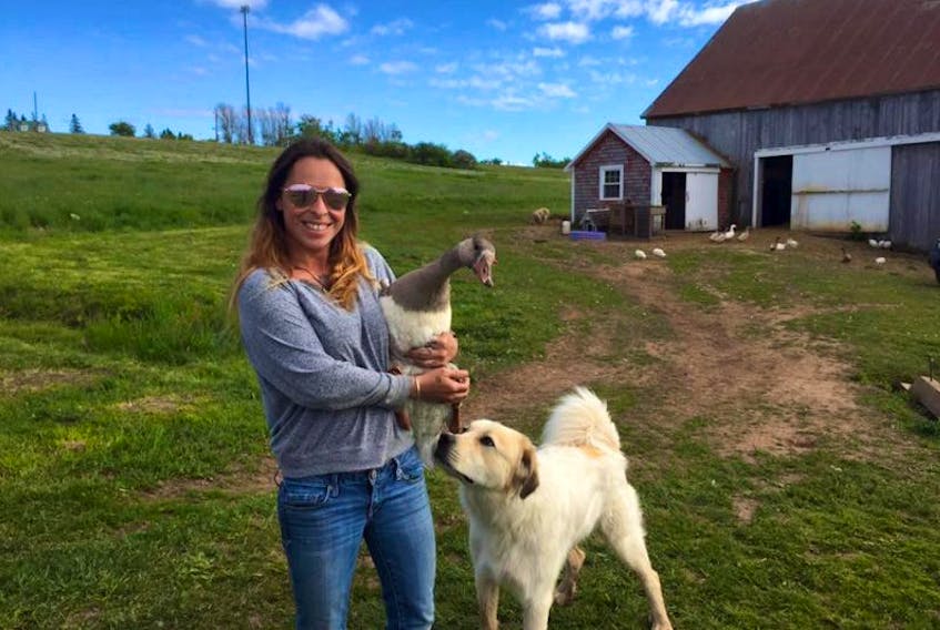 Amy Lynn Langlois loves her farm at Port Lorne, but coyotes have killed some of her animals and she feels her children are threatened. It started back in July and others in the area have also experienced problems with the animals.