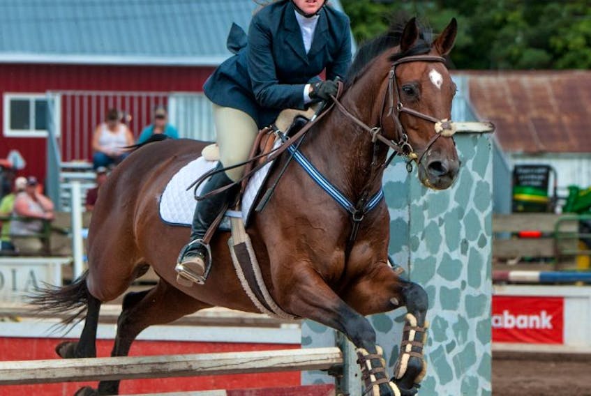 The Light Horse Show is one of the top attractions at the Annapolis Valley Exhibition with numerous events and competitions. The 2017 version of the show was no exception.