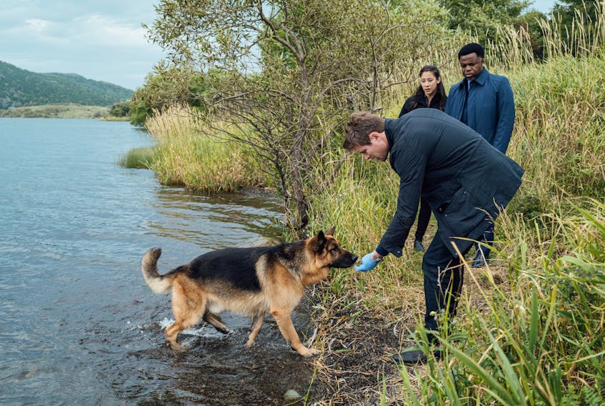 In response to the COVID-19 pandemic, the Newfoundland-based television series "Hudson & Rex" will feature more outdoor scenes in its yet-to-be-filmed third season. — JESSIE BRINKMAN EVANS PHOTO