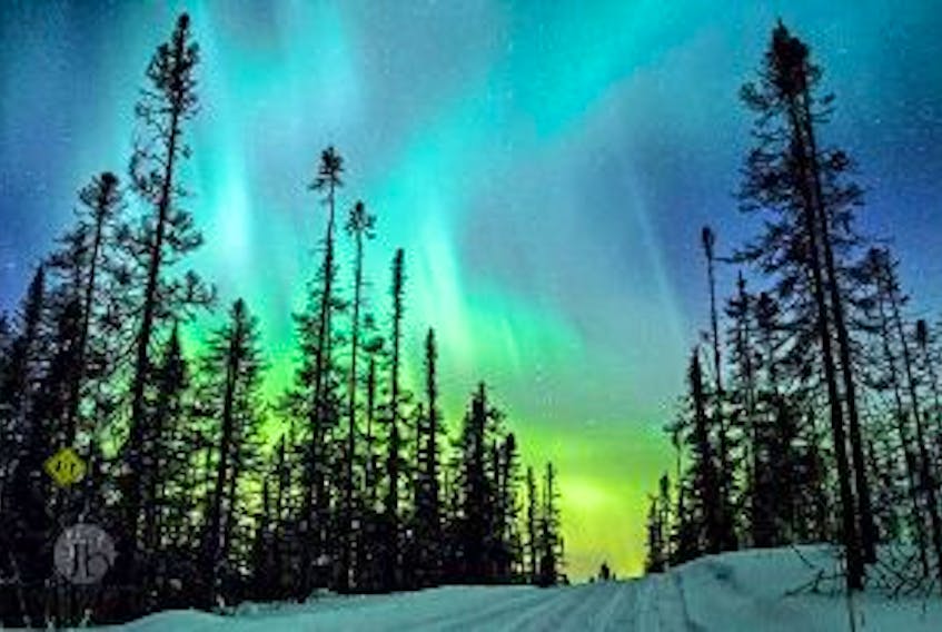 ['It’s cold, it’s dark, but it’s beautiful – Josh Bingle captures the northern lights outside Labrador West.']