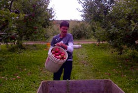 Collecting dropped apples and filling a bin at Ravenwood Farm kept teams busy in the 2013 Awesome Race. 