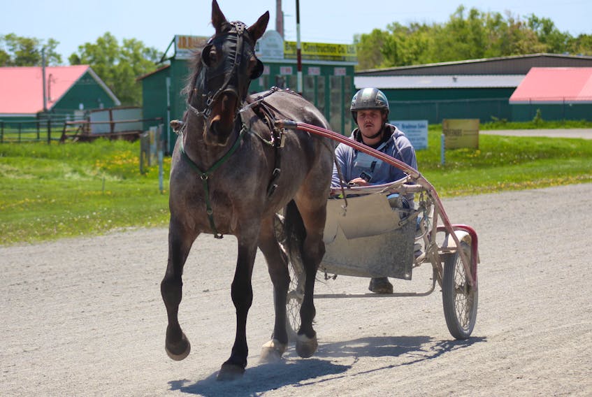 Shane Faulkner takes Mommas Little Rose around Northside Downs on Thursday. The half-mile oval at the Cape Breton County Exhibition Grounds on Regent Street in North Sydney opens the season with a seven-dash card Saturday. Post time is 1 p.m. Chris Connors/Cape Breton Post