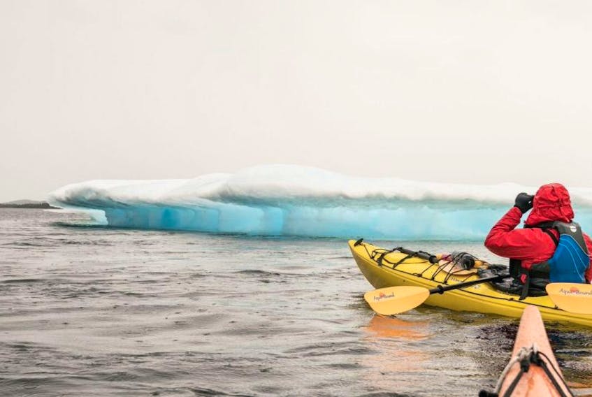 Kayakers were unable to make Fogo Island and were forced to abandon the expedition as a result of unusual amounts of pack ice.