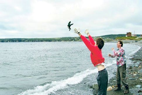 Fifteen-year-old Ben Strong releases a baby puffin in Witless Bay in an undated handout photo. Puffin Patrol, a group dedicated to saving baby puffins in the town, has already saved hundreds of birds this year. — File photo