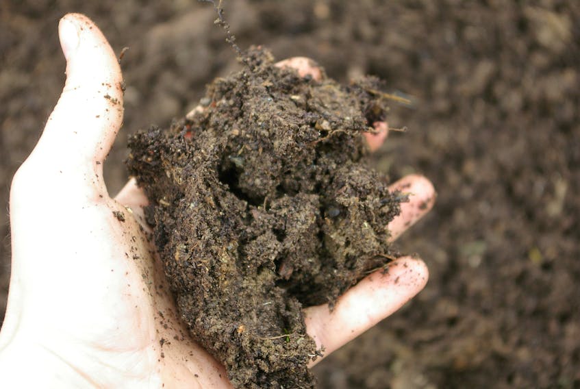WWF-Canada’s Living Planet Report said that of all the provinces, Newfoundland and Labrador has the highest density of carbon sequestration in soil. -SALTWIRE NETWORK FILE PHOTO