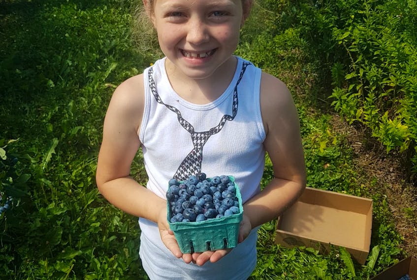 This was Sadie's first time picking blueberries with her brother, Issac, just over a week ago in Centerville, N.S. Mom, Sheila, said they had a great time. - Sheila Nickerson