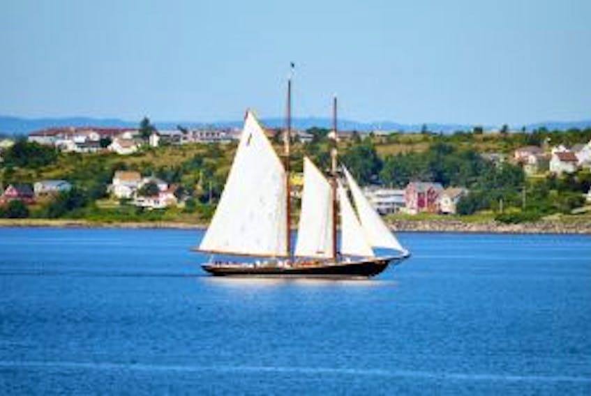 ['On Aug. 11 the Bluenose II left Sydney Harbour after a brief stay over. Hundreds lined the shores on both sides of the harbour to get a look. Several eye catching photos were snapped but this one that has North Sydney in the background was my favourite.']