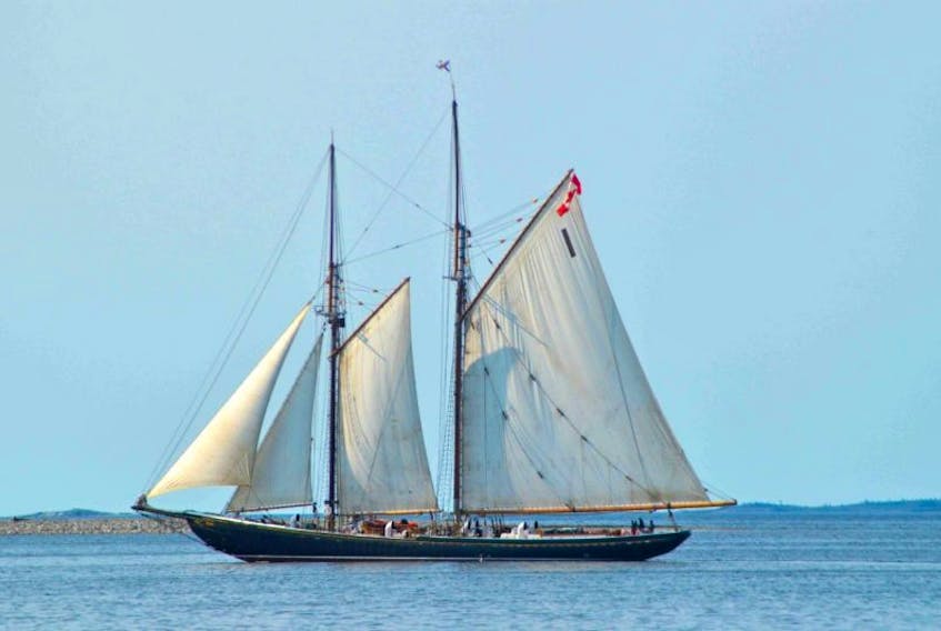 The Bluenose II under sail in Shelburne Harbour.