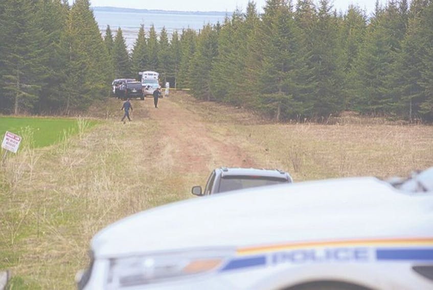 Police teams work at a wooded site in Stratford where there the body of a man was found Thursday afternoon. The private land where the body was located among trees is beside Tea Hill Park. The landowner and a hired assistant were clearing brush when they discovered the remains of what appeared to be a male.