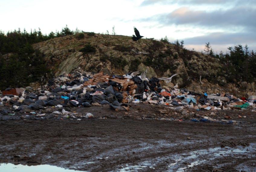 The dump in Bonavista. JONATHAN PARSONS/THE PACKET