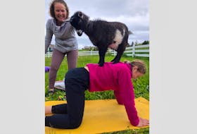 Goat Yoga is taking place at Clarenville Farm and Market on Saturday, Sept. 7.