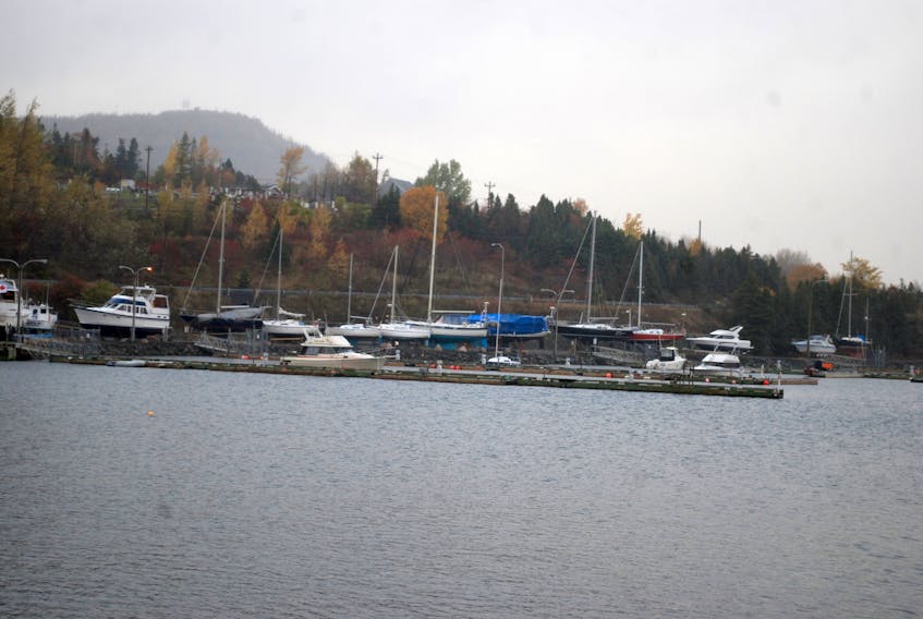 The marina in Clarenville.
