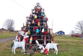 <p>The Lobster Trap Christmas Tree and the Star are visible as you drive off the ferry in Westport.</p>