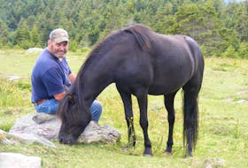 Byron Hierlihy with his Newfoundland pony, Kula. — Submitted