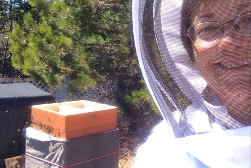 Jill Calder has been maintaining a colony of honeybees in Burgeo since 2017. CONTRIBUTED