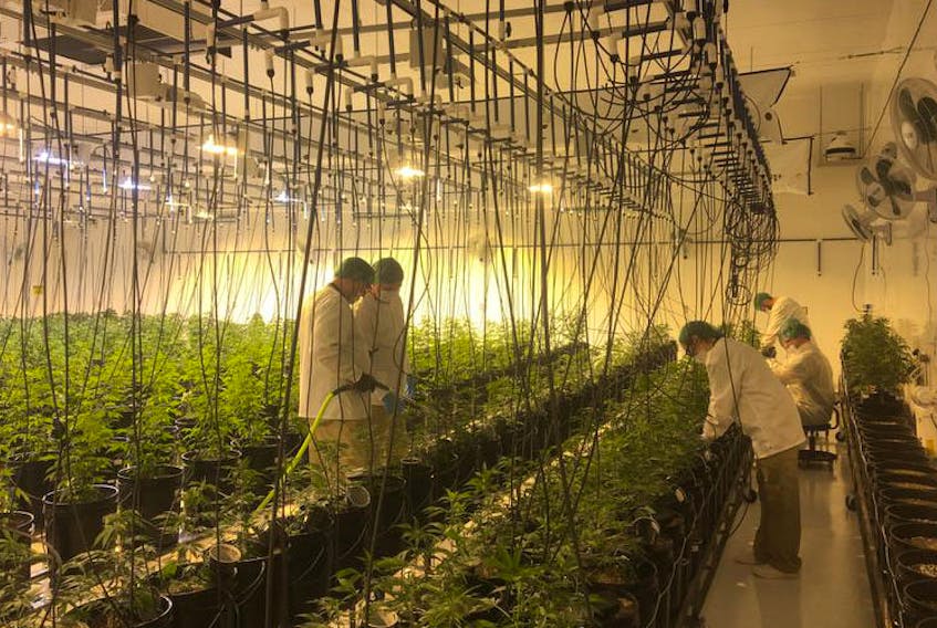 Breathing Green Solutions in Wentworth, Cumberland County is the first Nova Scotia pot grower to be granted a license to sell cannabis by Health Canada.