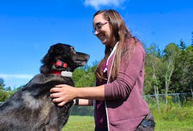 Arielle Lewis, owner of Village Dog Walking and Training, poses with her dog Taylor at her Coxheath business. GREG MCNEIL/CAPE BRETON POST 