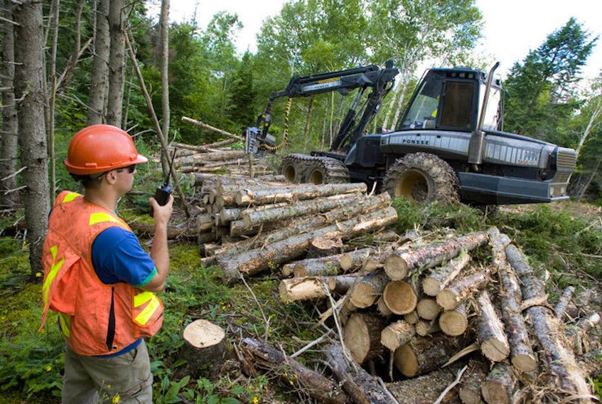 In this file photo from 2010, Brian Martinello, left, a site supervisor with Hugh MacInnis Lumber Ltd., talks with the harvester operator during a cutting job in Long Island. A year after the closure of the Northern Pulp mill in Pictou County, uncertainty abounds in the forestry sector in Cape Breton and northeastern Nova Scotia. CAPE BRETON POST